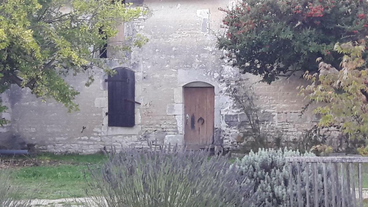 Bed and Breakfast Le Dojo Du Plessis Mareuil  Exterior foto